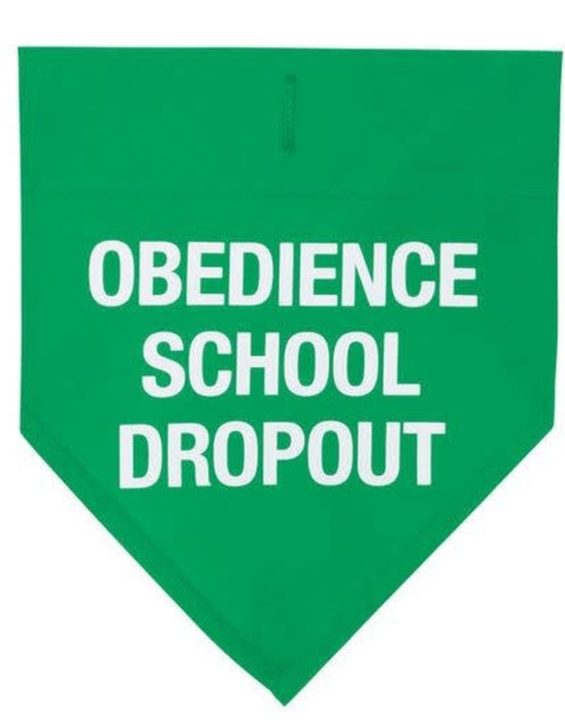 DOG COLLAR BANDANA- obedience school dropout L
