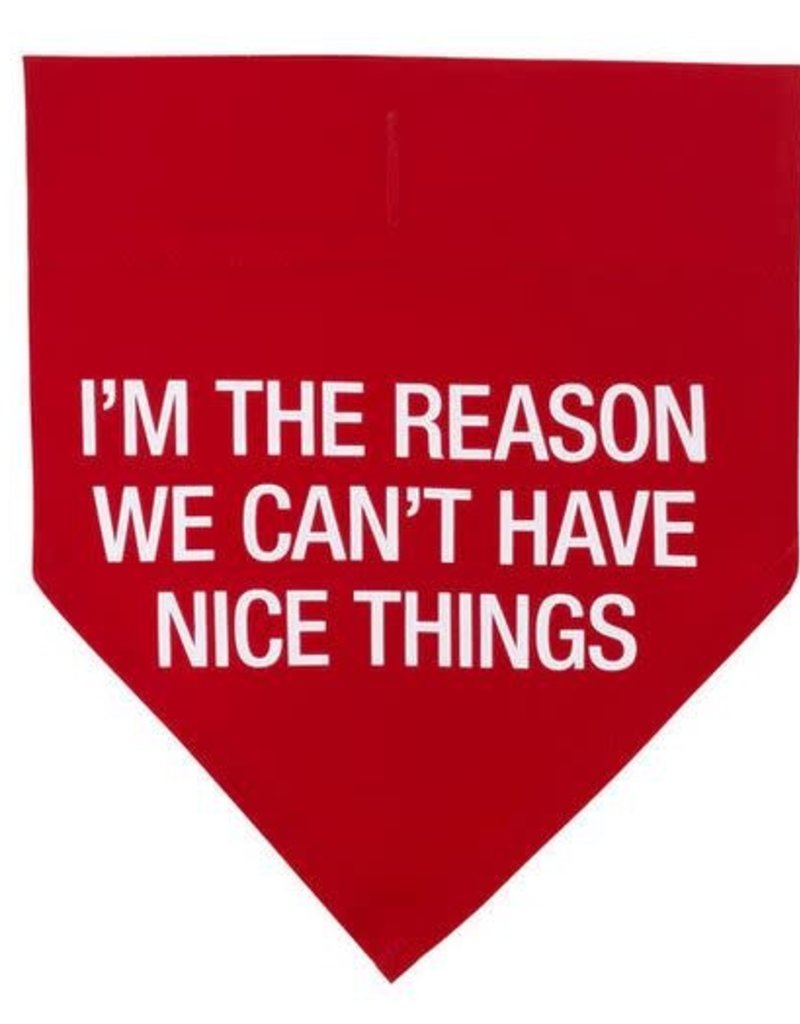 DOG COLLAR BANDANA- can't have L