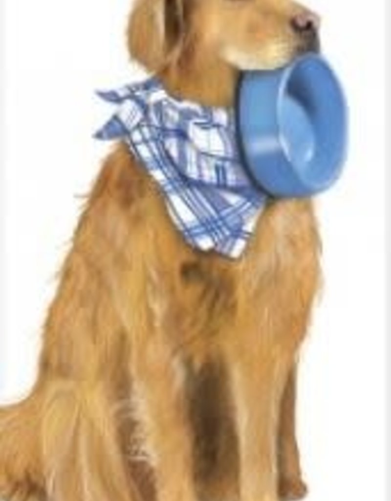 DOG GOLDEN W/BOWL FLOUR SACK TOWEL