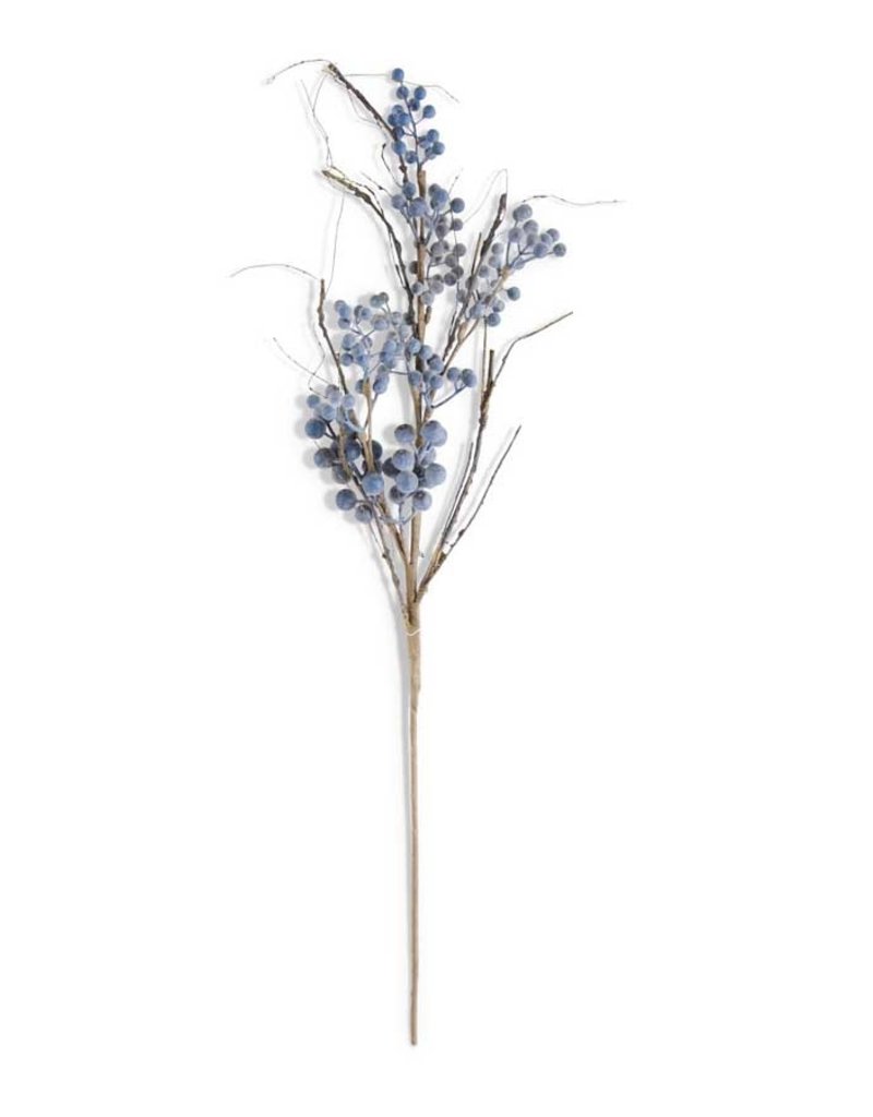 POWDERED CONCORD GRAPE BRANCH