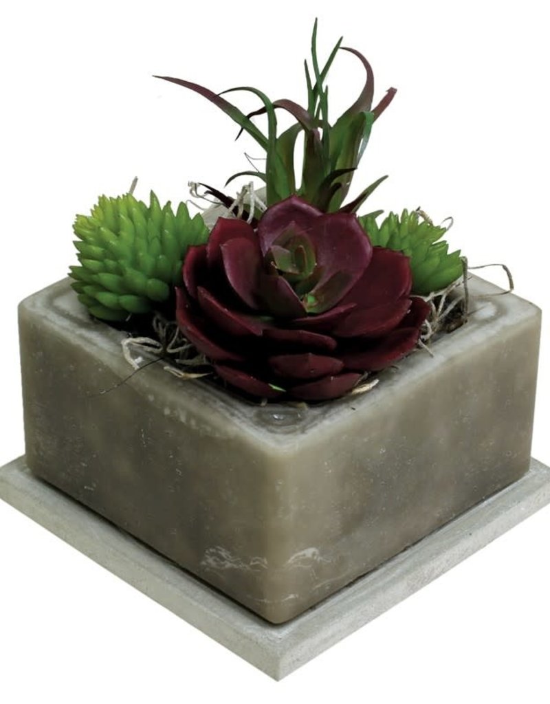 SAND STORM WAX SUCCULENT GEO CUBE AND TILE BASE SET