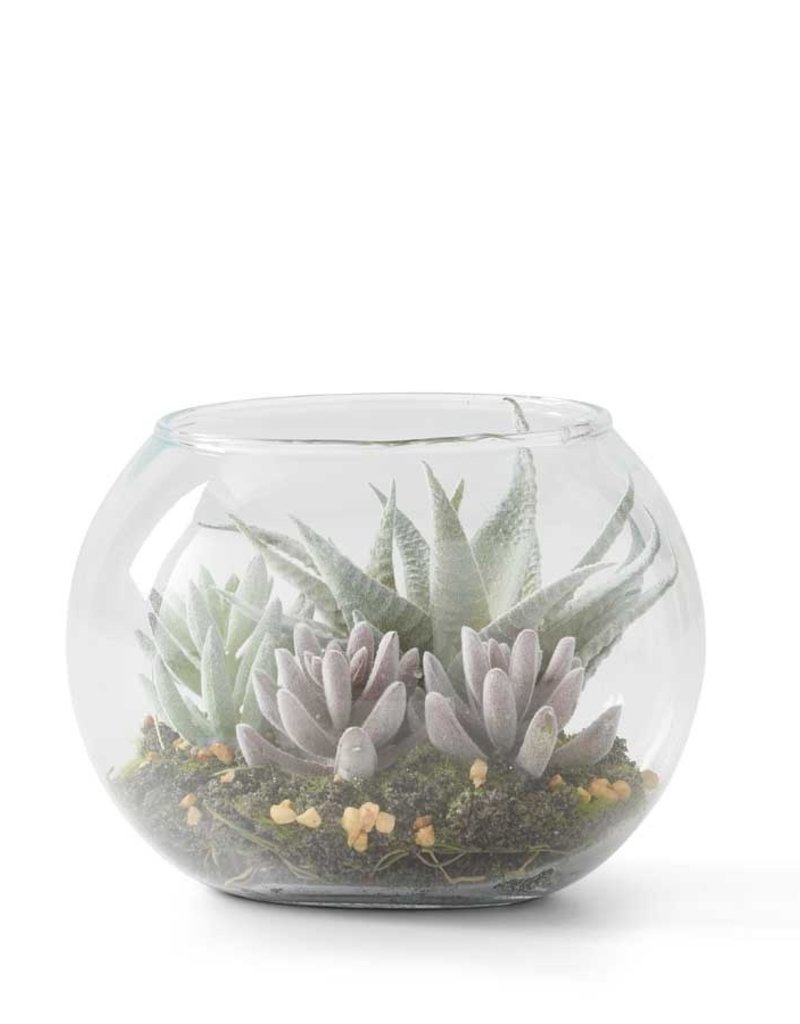 SUCCULENT TERRANIUM BOWL