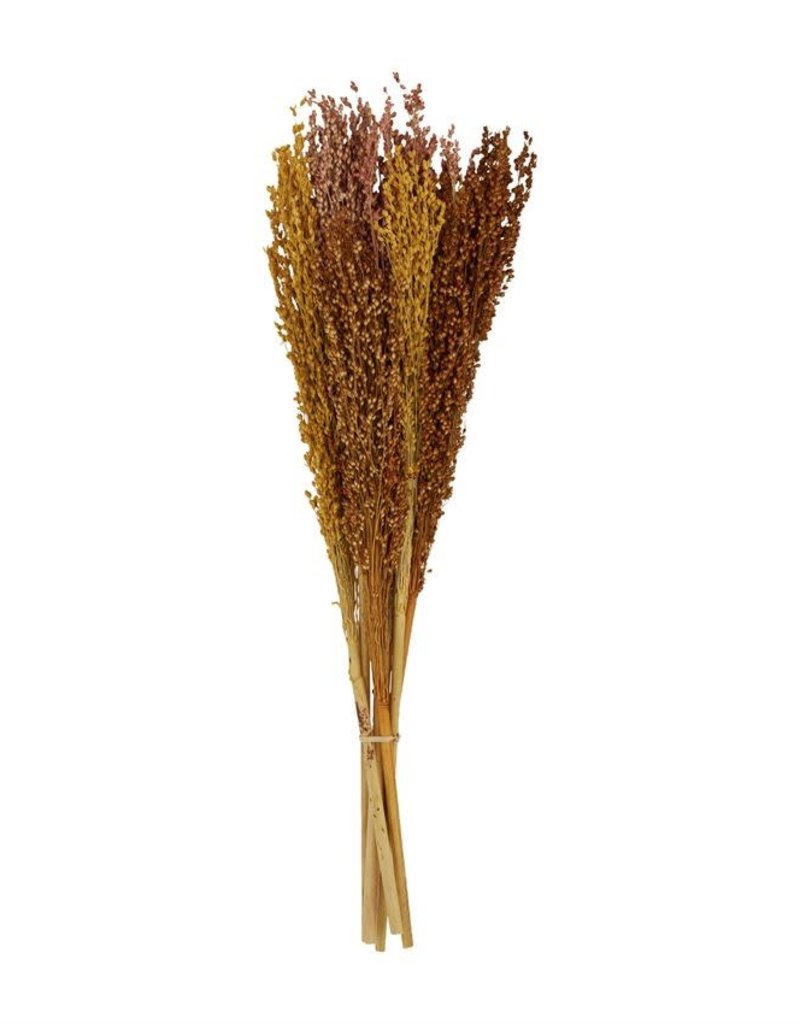MUD PIE Sorghum Bunch