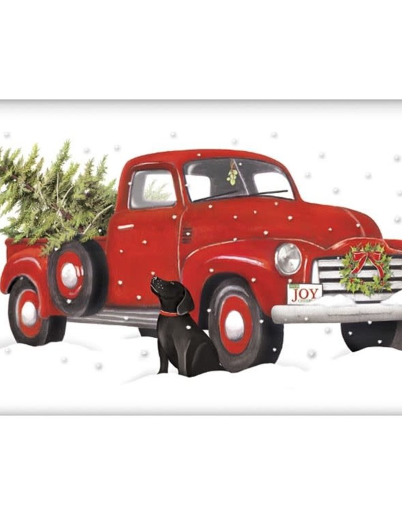 HOLIDAY TRUCK BAGGED TOWEL