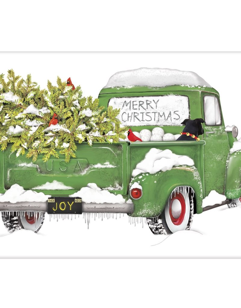 HOLIDAY GREEN TRUCK BAGGED TOWEL