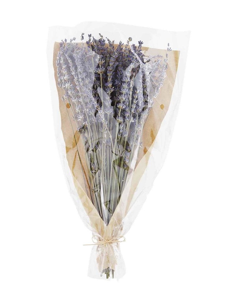 MUD PIE LAVENDER BUNCH