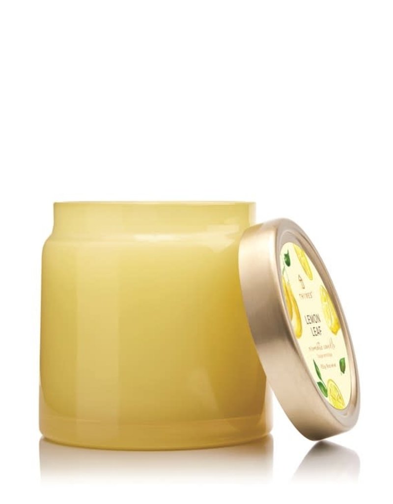 THYMES LEMON LEAF STATEMENT CANDLE
