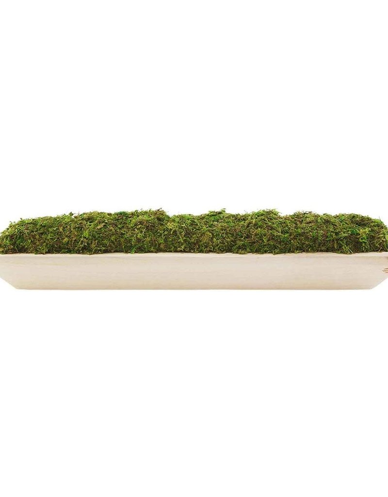 MUD PIE MOSS TRAY