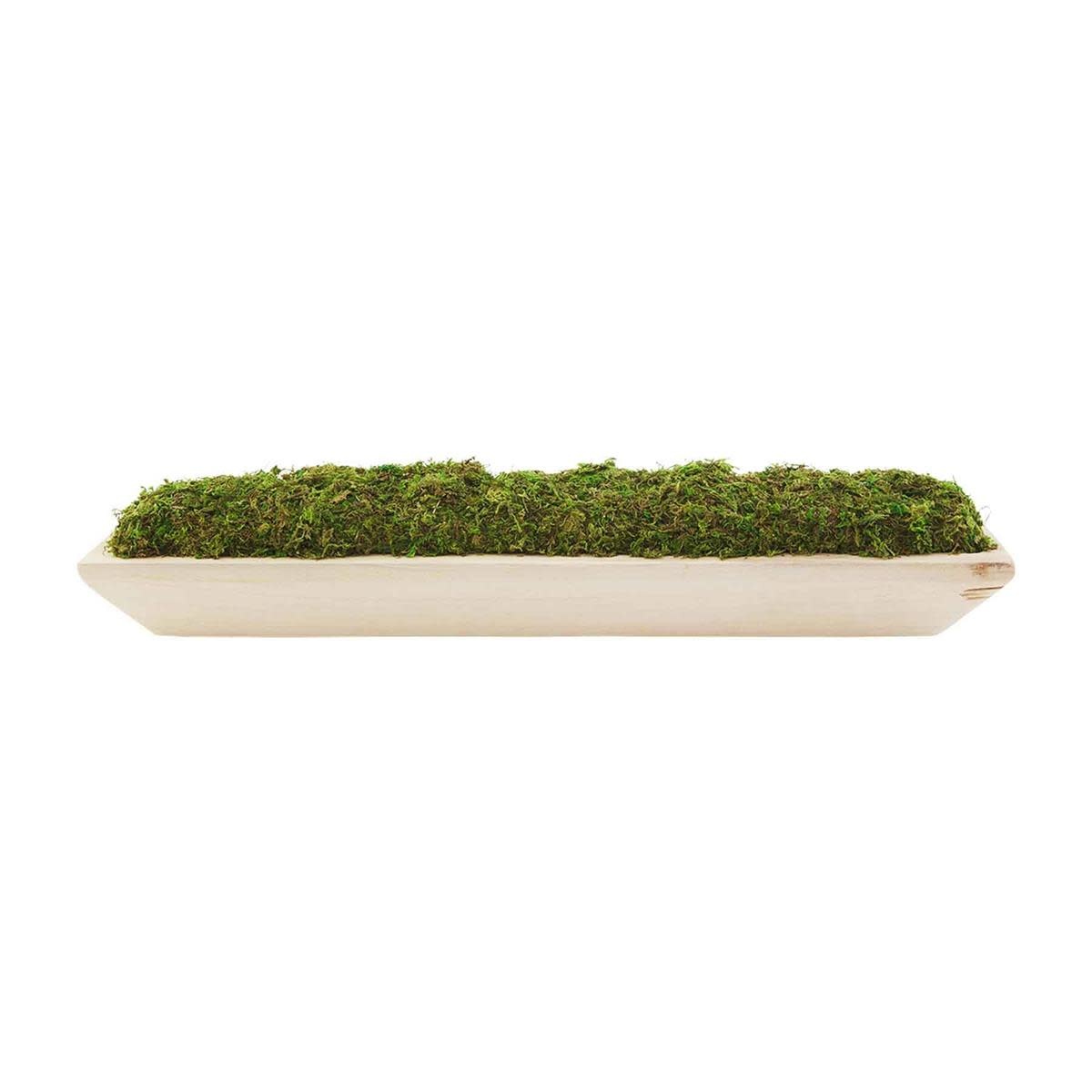 MUD PIE MOSS TRAY