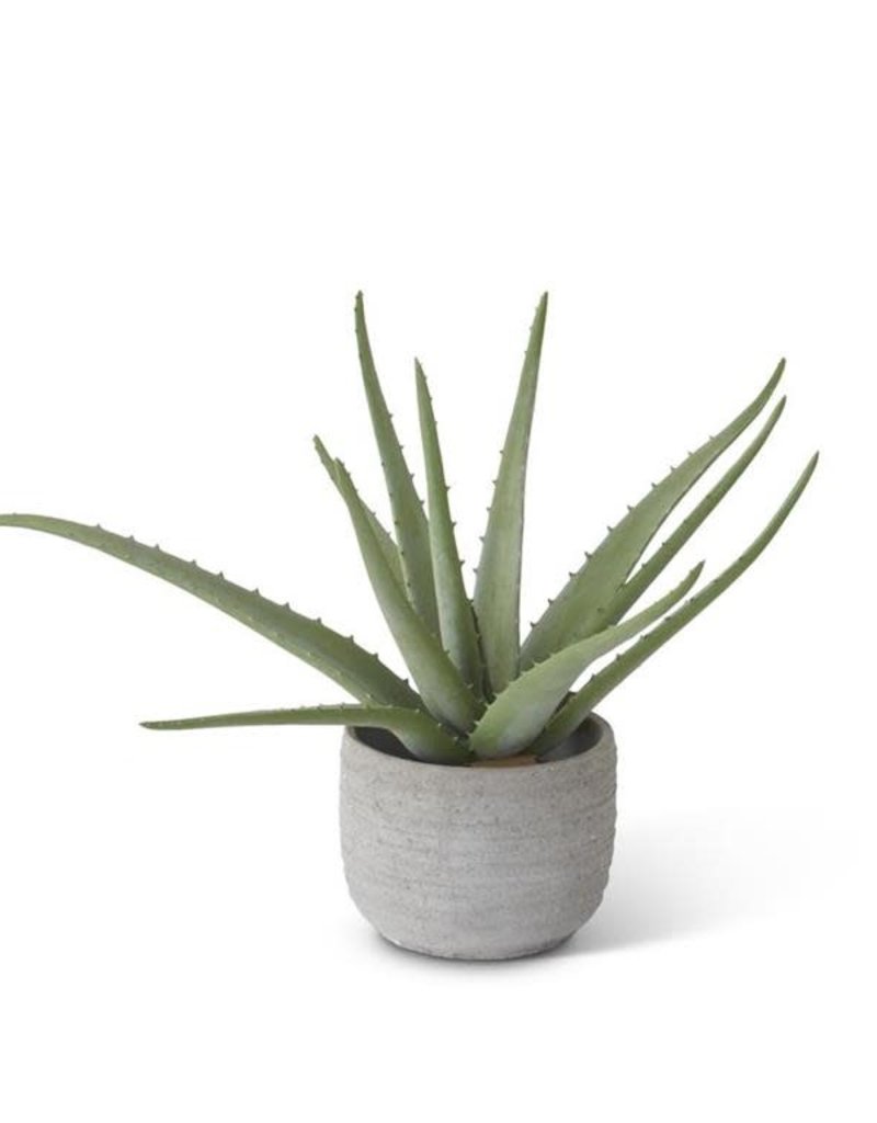 ALOE IN GREY TEXTURED POT