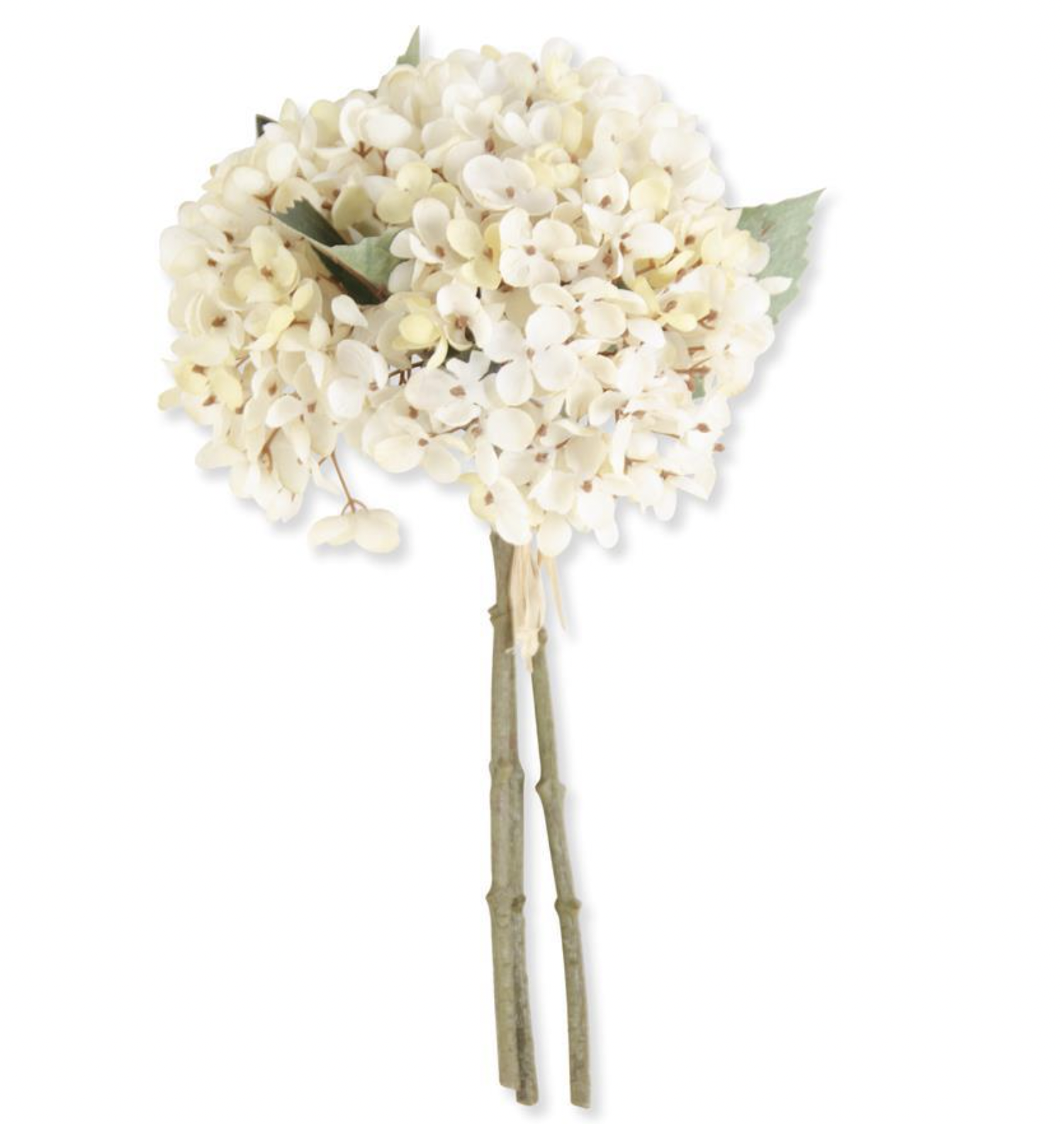 TWO-TONE HYDRANGEA BUNDLE-CREAM TWO-TONE HYDRANGEA BUNDLE-CREAM