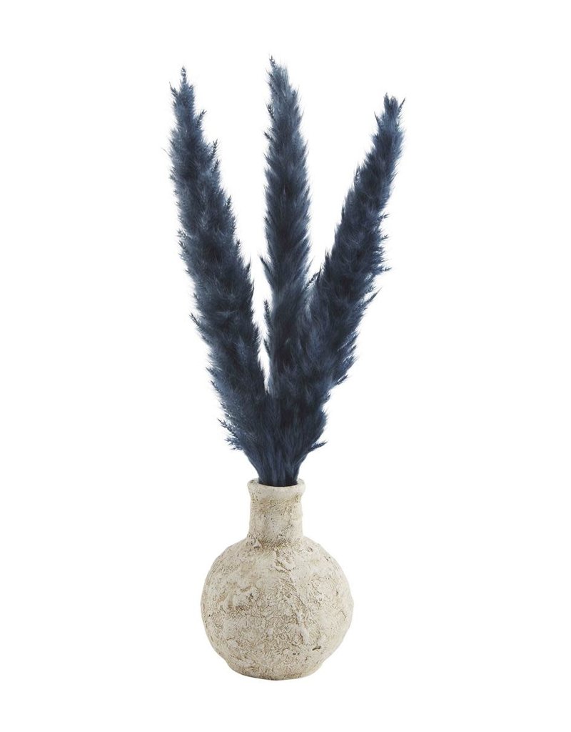 MUD PIE PRESERVED PAMPAS STEM VASES