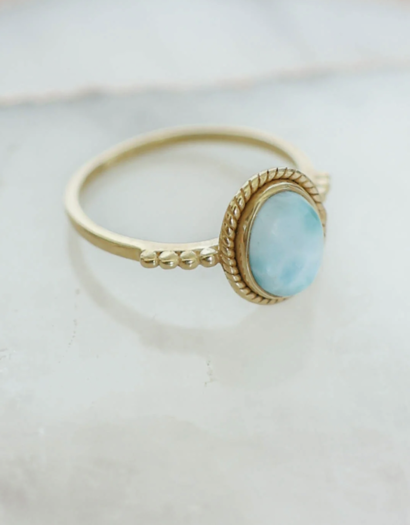 CHASING INDIGO Julianna Ring- LARIMAR