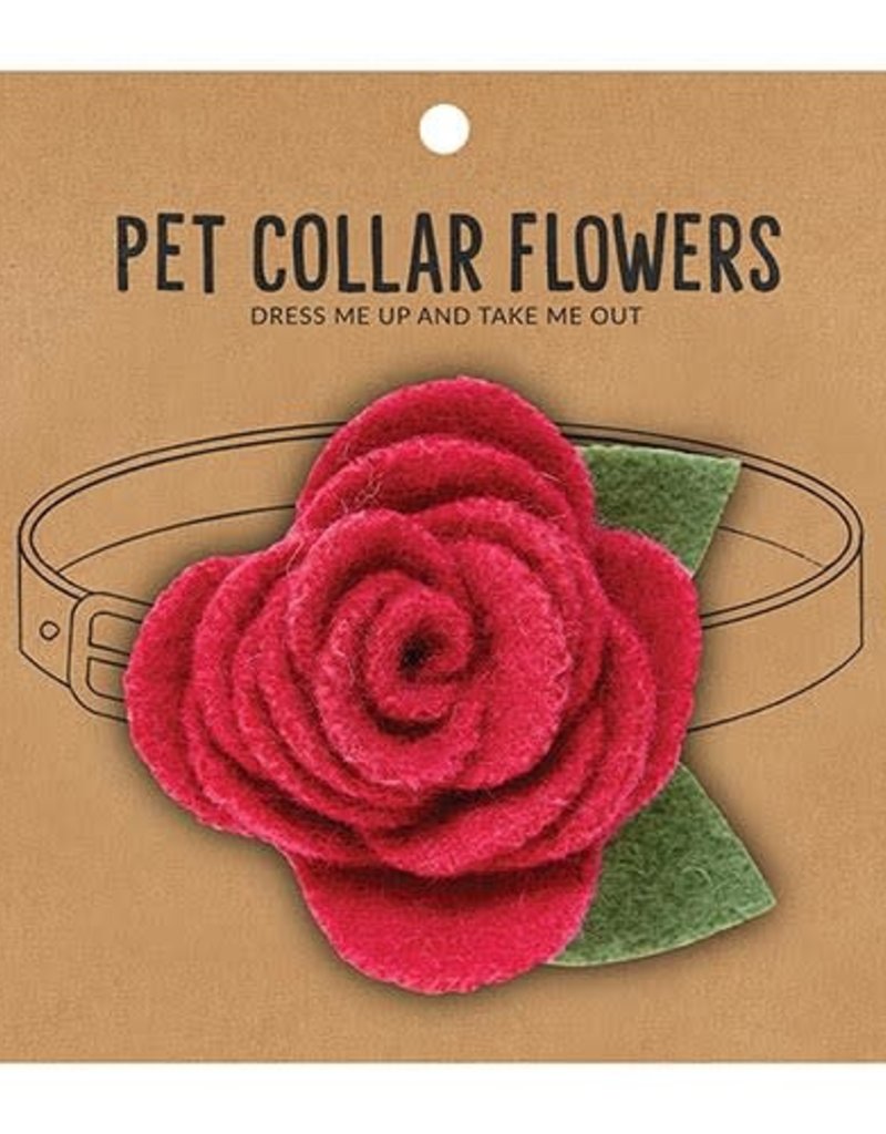 PET COLLAR FLOWER- RASBERRY