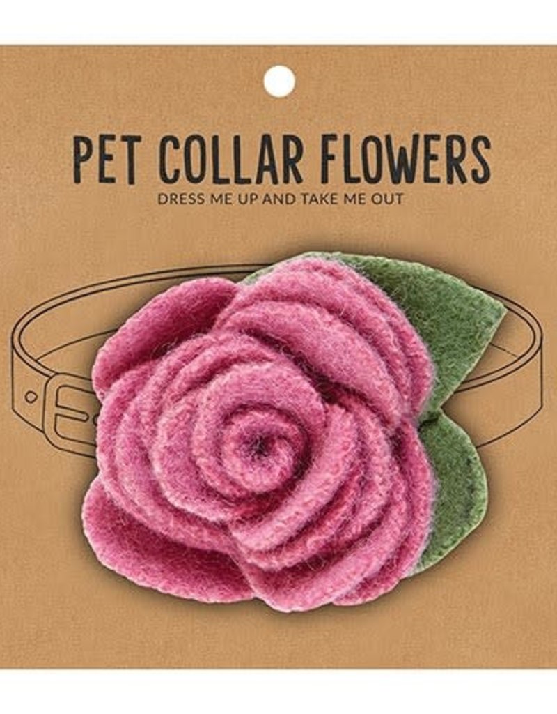 PET COLLAR FLOWER- ORCHID