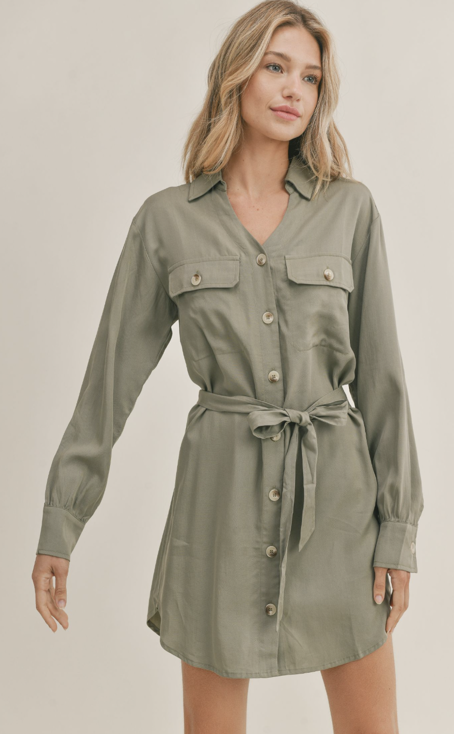 SADIE & SAGE LIGHTHOUSE BUTTON DOWN DRESS