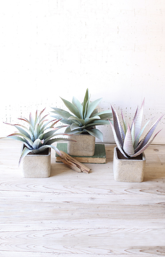 KALALOU ARTIFICIAL SUCCULENTS IN SQUARE STONE POTS