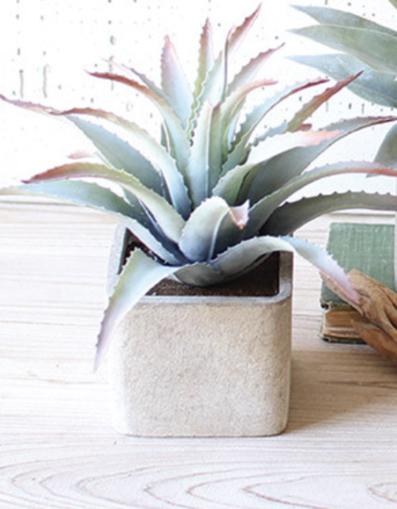 KALALOU ARTIFICIAL SUCCULENTS IN SQUARE STONE POTS