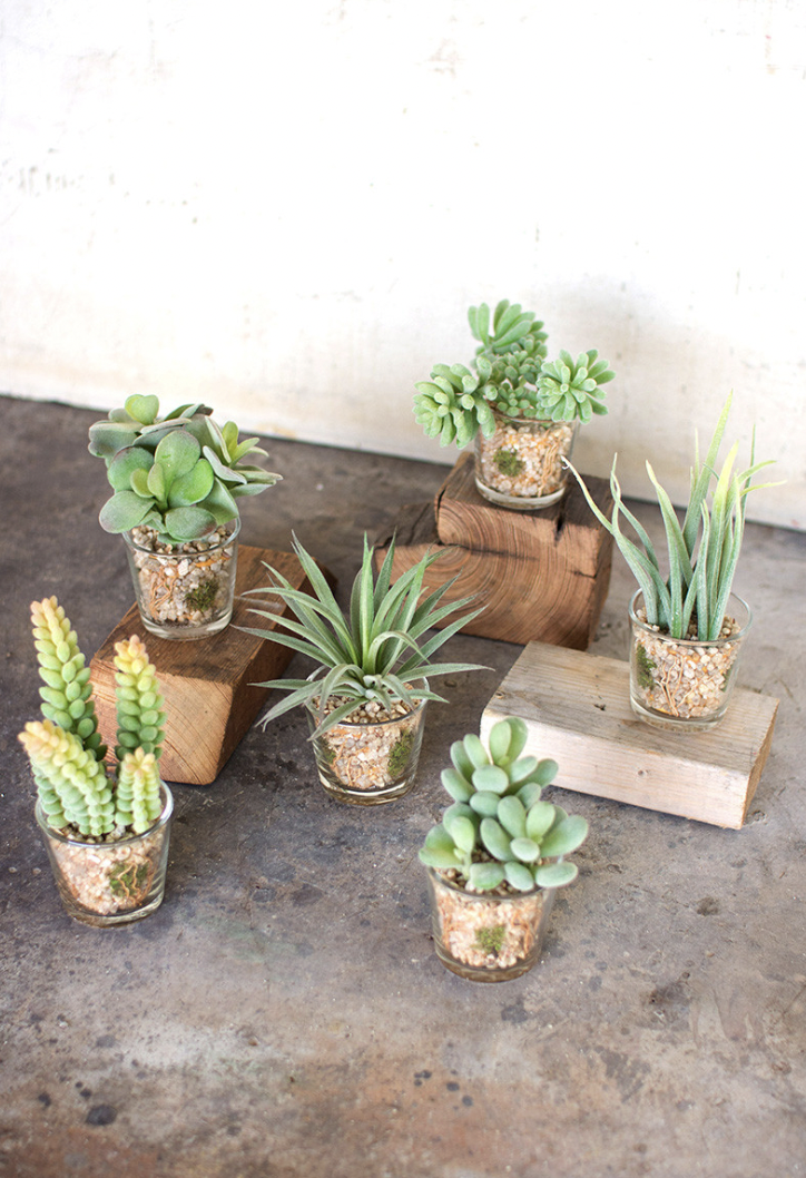 KALALOU ARTIFICIAL SUCCULENTS IN GLASS CONTAINERS