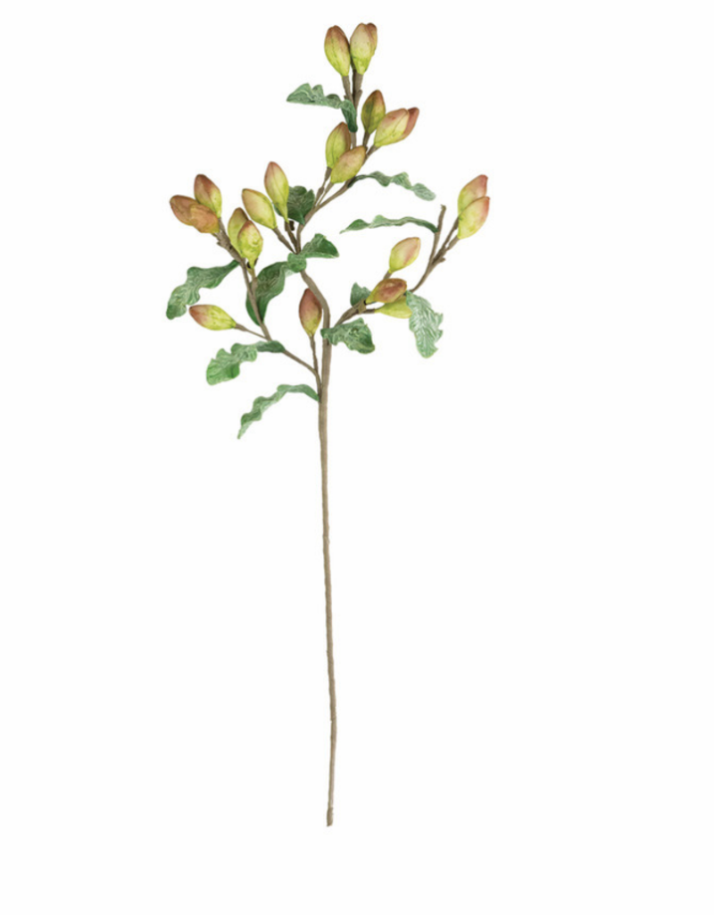KALALOU BOTANICA 3361