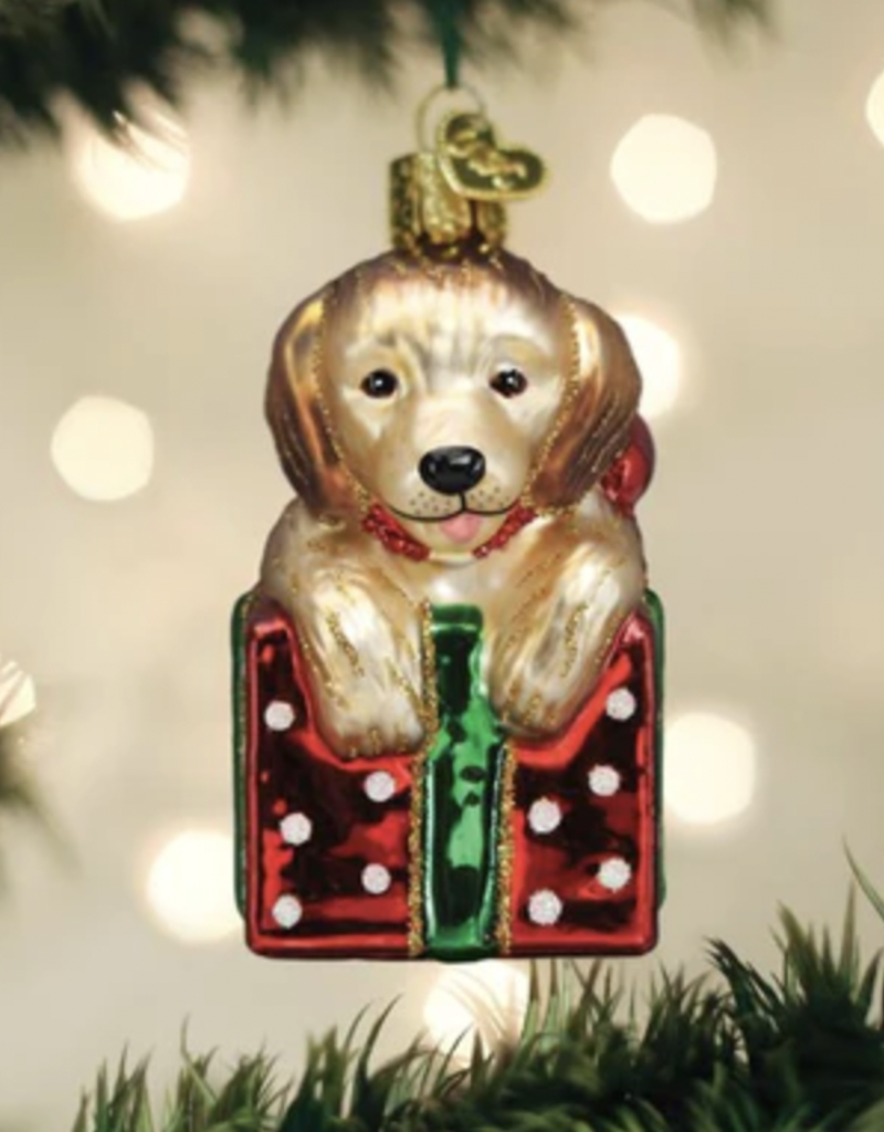 OLD WORLD CHRISTMAS GOLDEN PUPPY SURPRISE ORNAMENT
