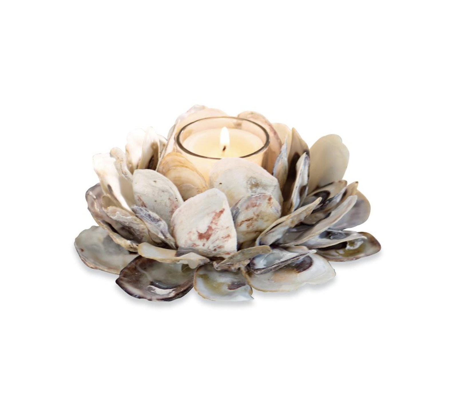 MUD PIE OYSTER SHELL VOTIVE HOLDER