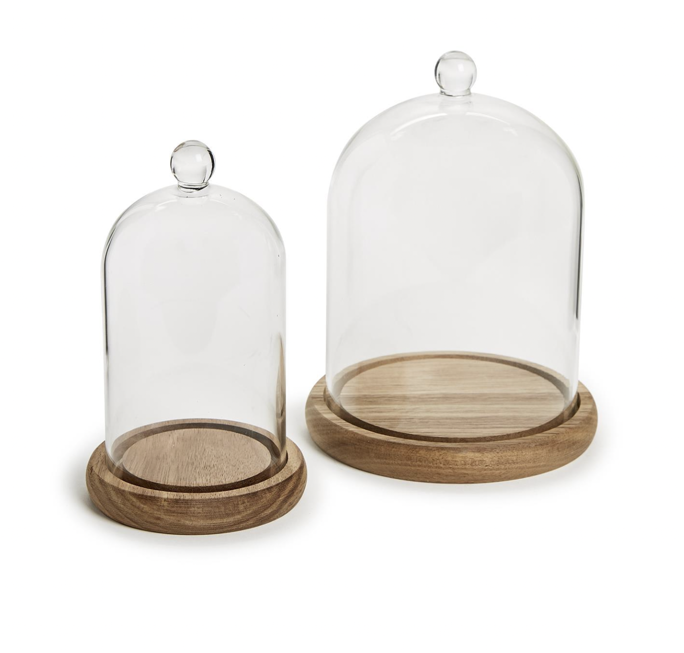 TWO'S COMPANY CLOCHE WITH WOODEN BASE TWO'S COMPANY CLOCHE WITH WOODEN BASE
