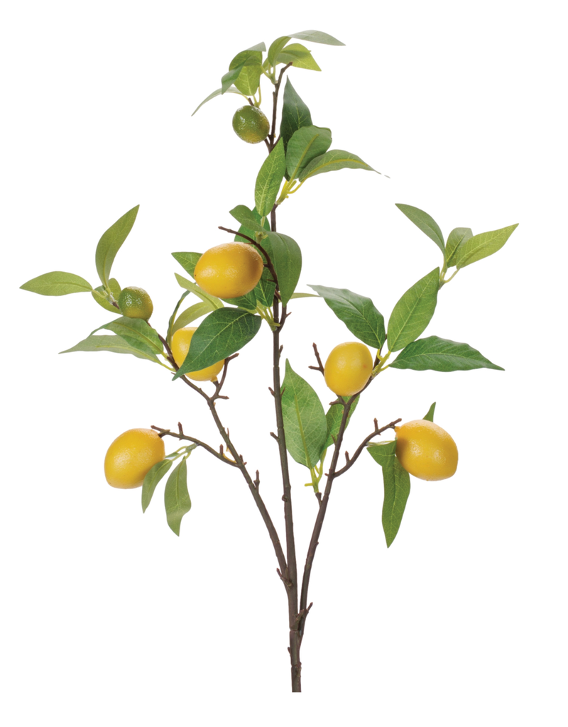 LEMON BRANCH