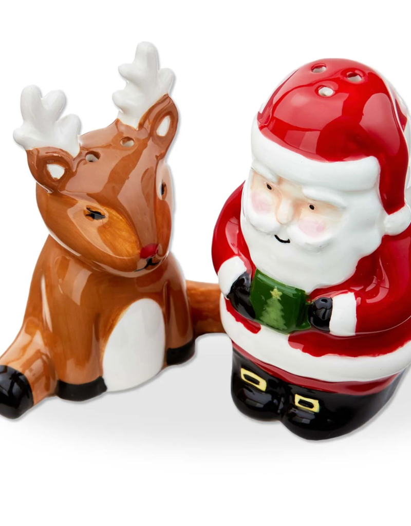 TAG SANTA & REINDEER SALT & PEPPER SET