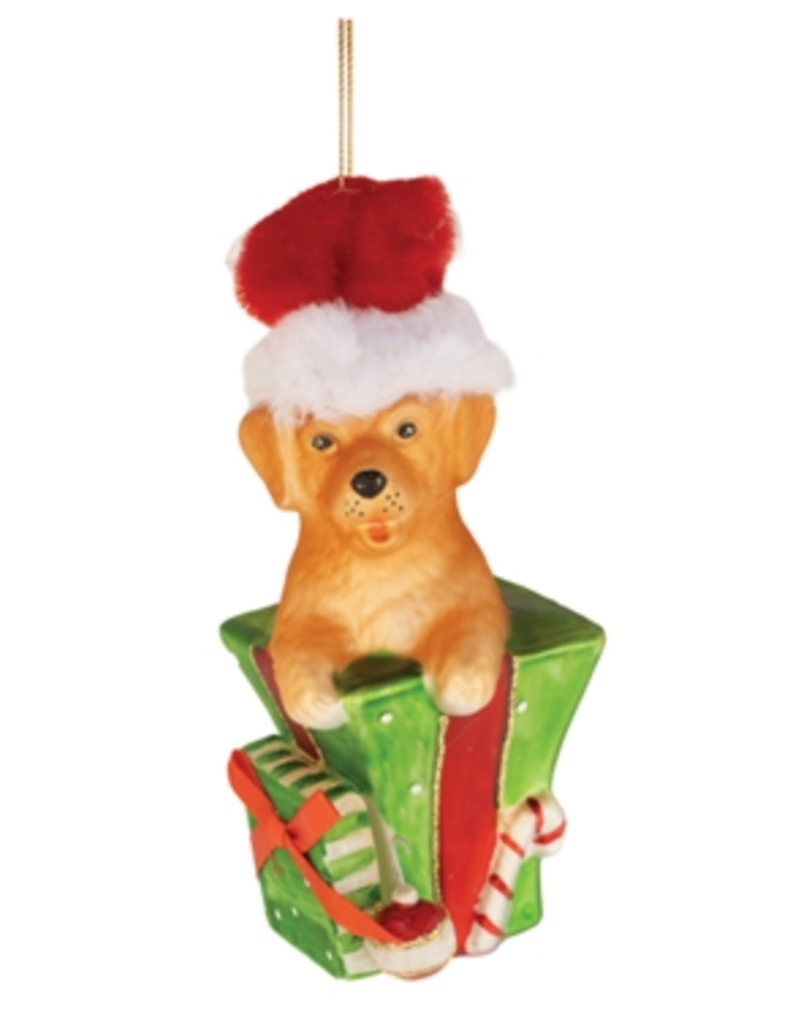PUPPY IN PACKAGE ORNAMENT