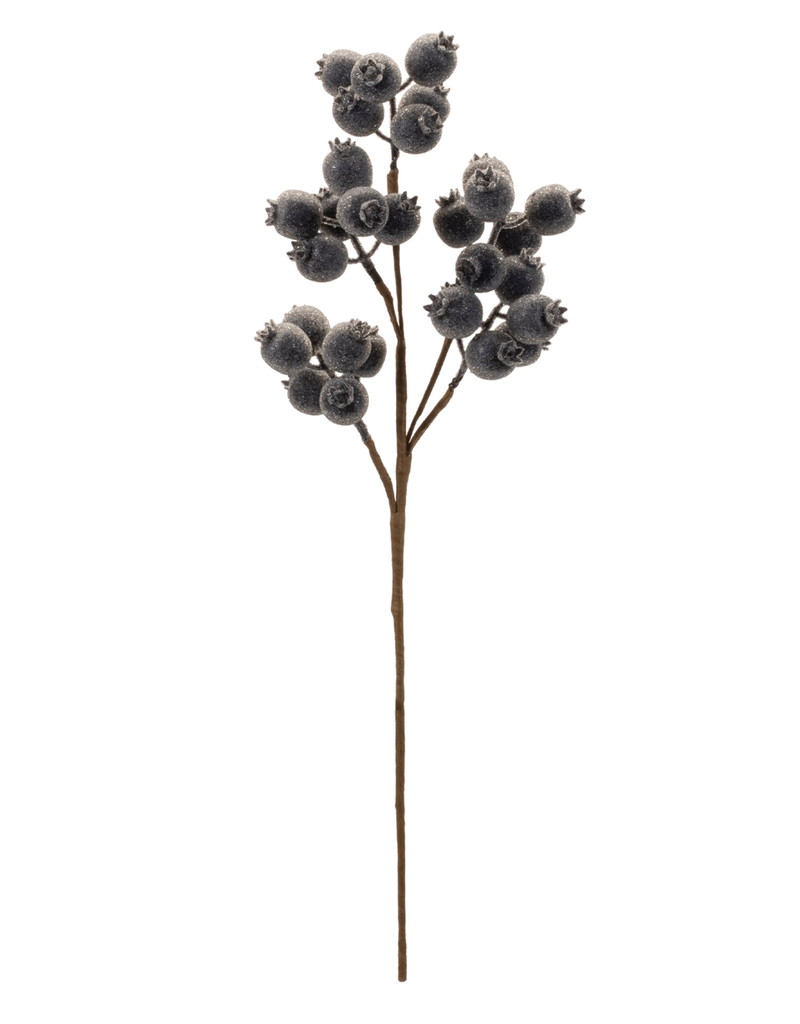 BERRY SPRAY-21"
