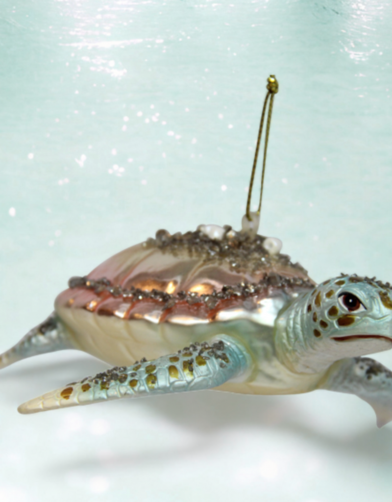 OCEAN BREEZE TURTLE