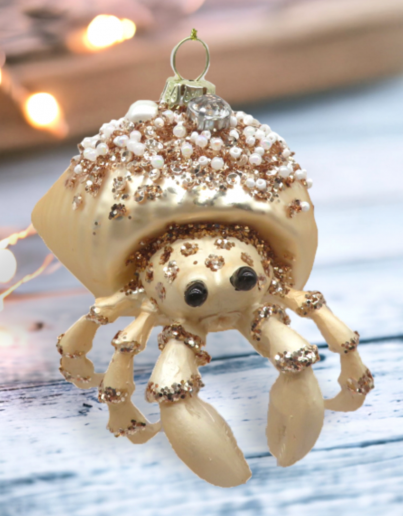GOLD HERMIT CRAB
