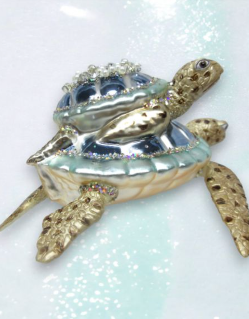 BLUE TURTLE WITH BABY