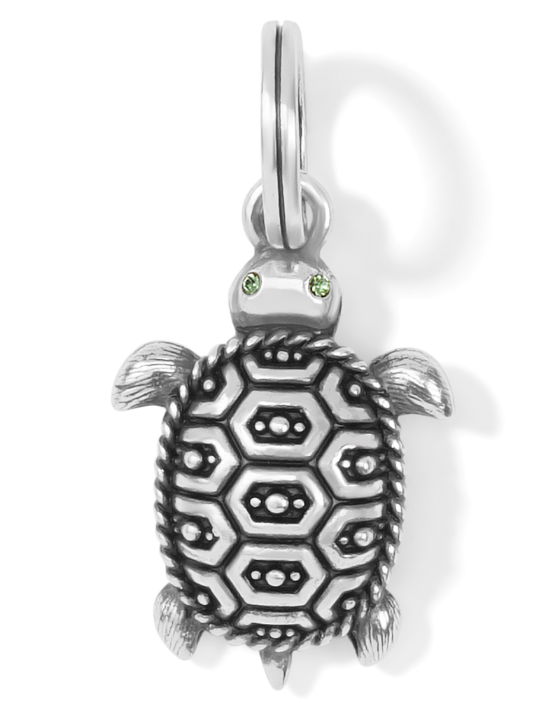 BRIGHTON PISMO TURTLE CHARM