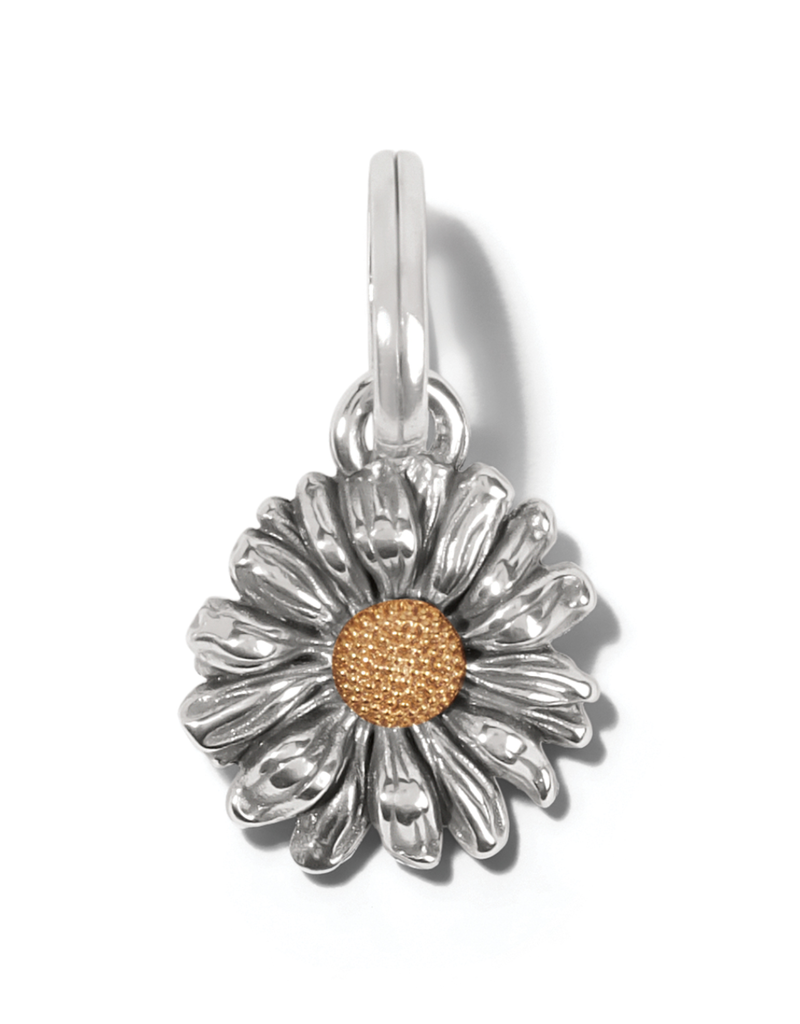 BRIGHTON DAISY DEE CHARM