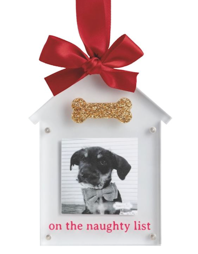 MUD PIE ACRYLIC PET ORNAMENT FRAMES