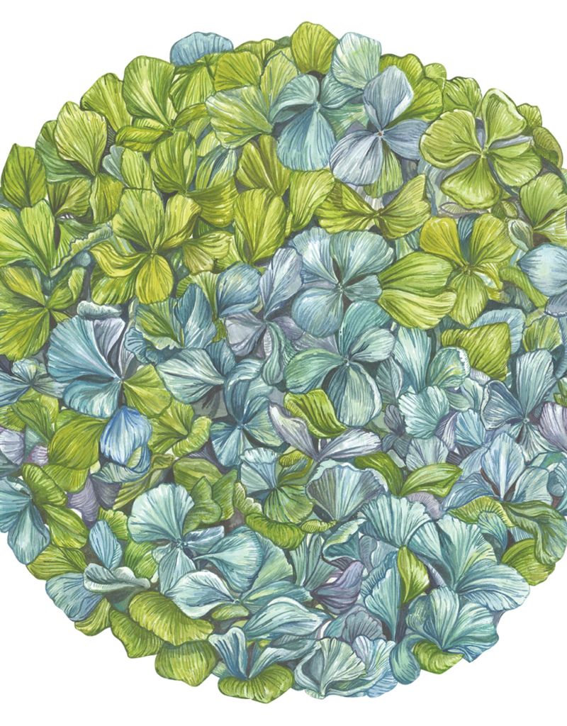 HESTER & COOK DIE CUT HYDRANGEA PLACEMATS