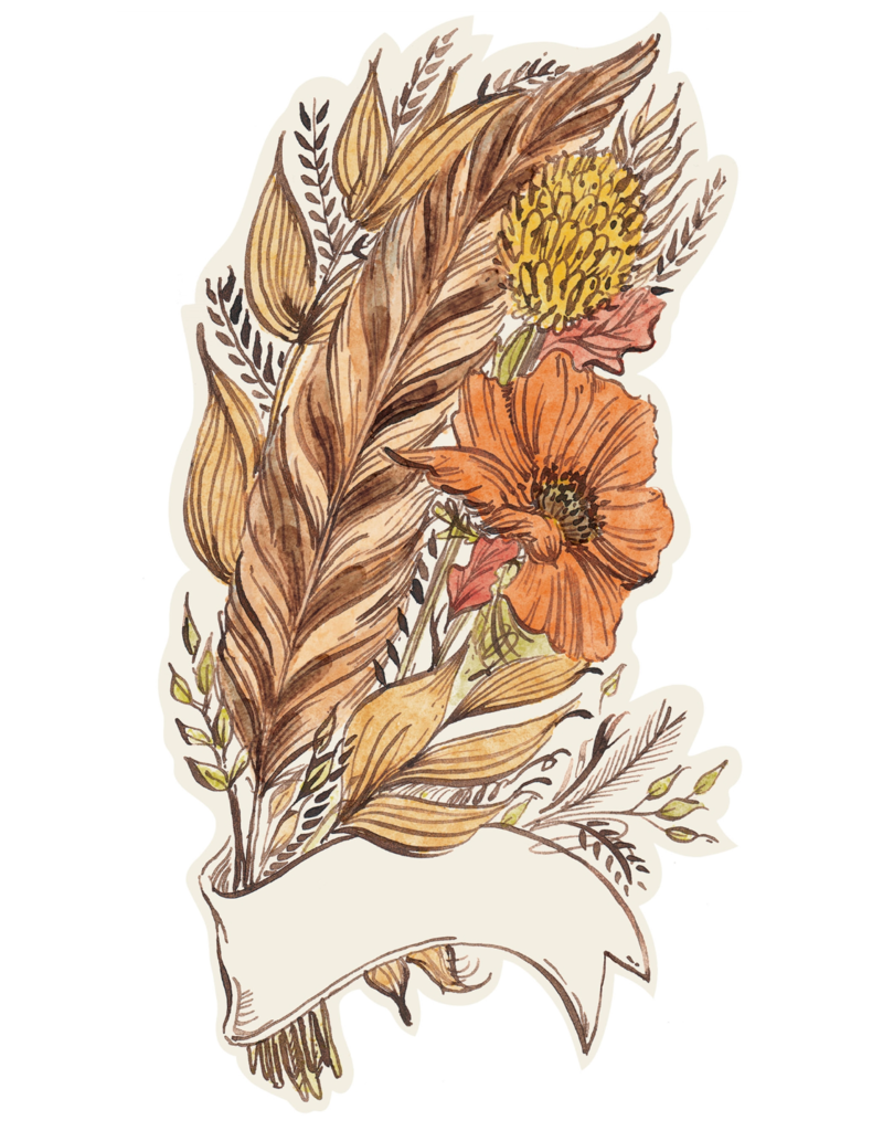 HESTER & COOK FEATHER TABLE ACCENT