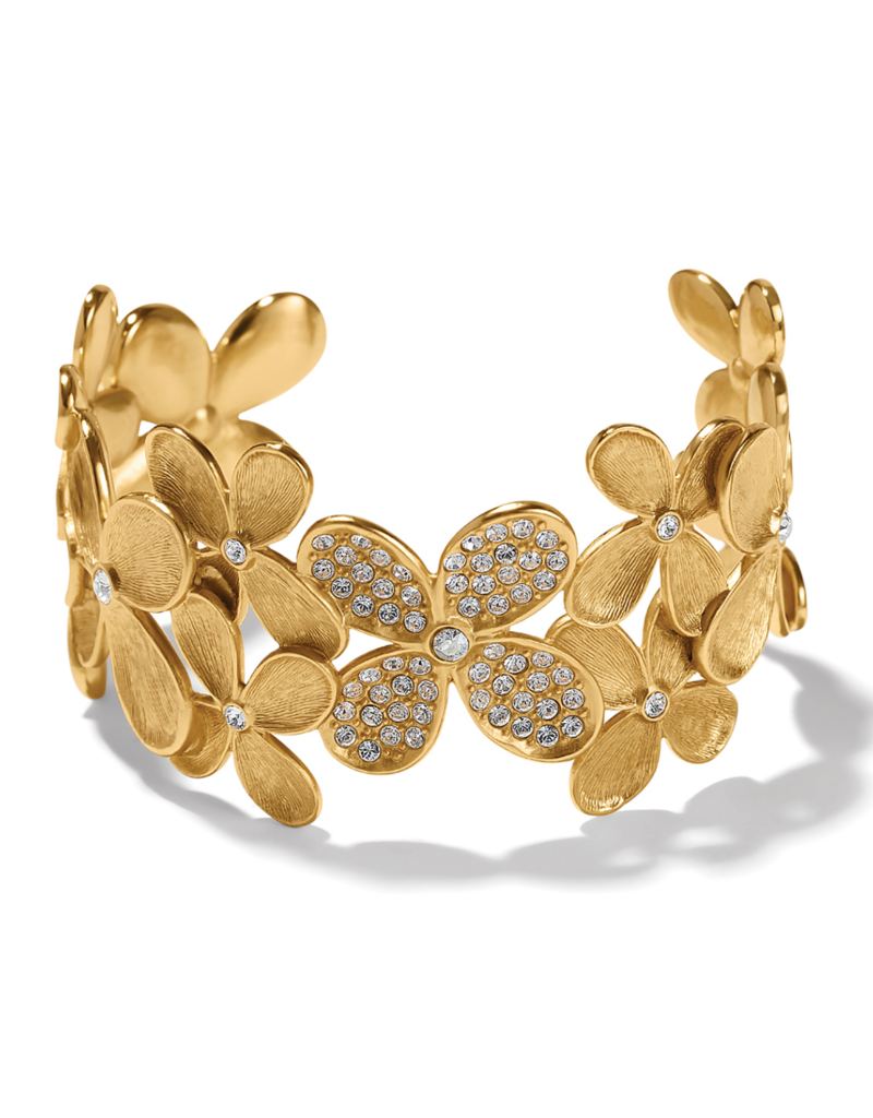 BRIGHTON EVERBLOOM PETALS