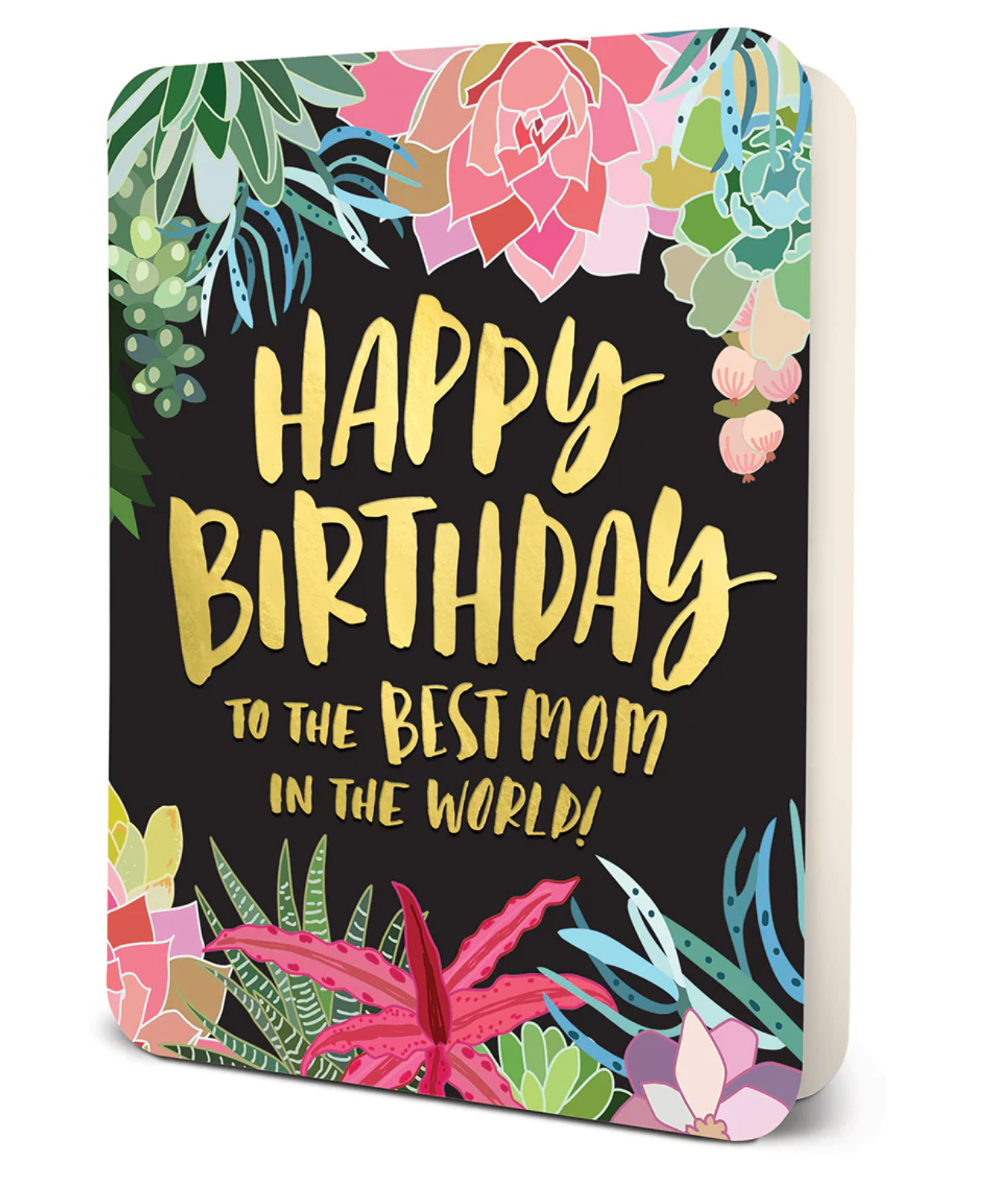 STUDIO OH! SUCCULENTS BEST MOM BIRTHDAY CARD