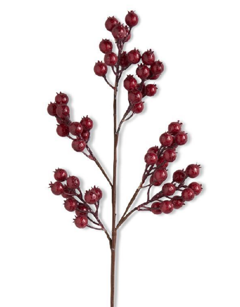 RED CRACKLE GLITTER ROSEHIP STEM 27 INCH