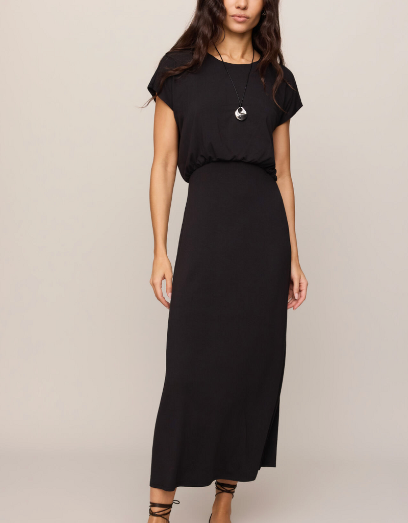 Z SUPPLY ANIKA MIDI DRESS