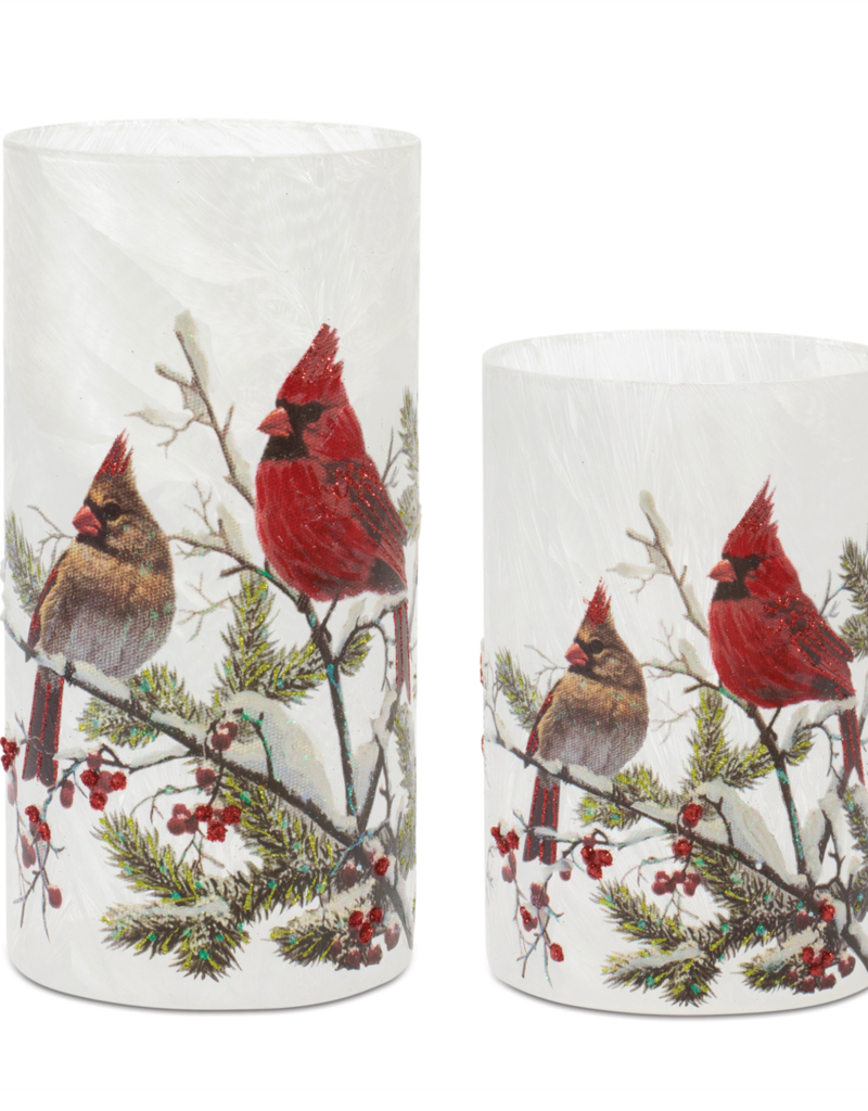 double cardinal hurricane candle holder
