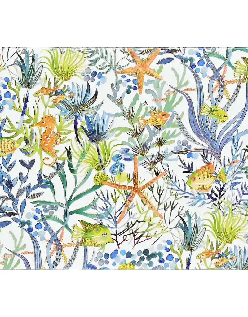 PETER PAUPER PRESS OCEAN DREAMS NOTE CARDS