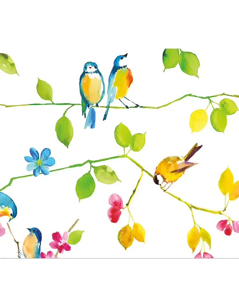 PETER PAUPER PRESS WATERCOLOR BIRDS NOTE CARDS