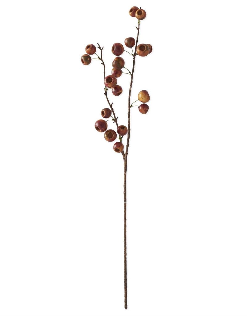 27 Inch Brown Orange Pod Stem