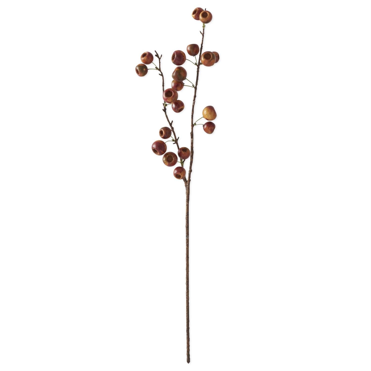 27 Inch Brown Orange Pod Stem