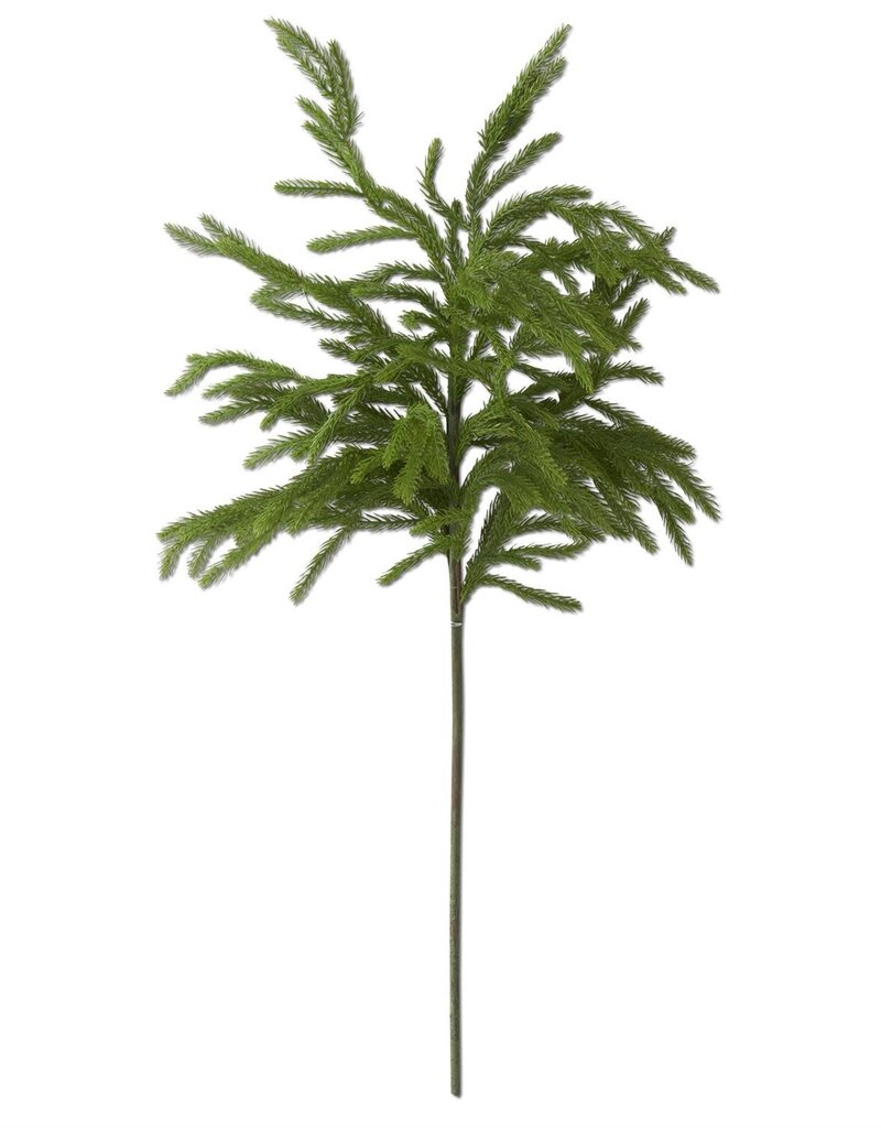32 Inch Real Touch Norfolk Pine Branch Stem