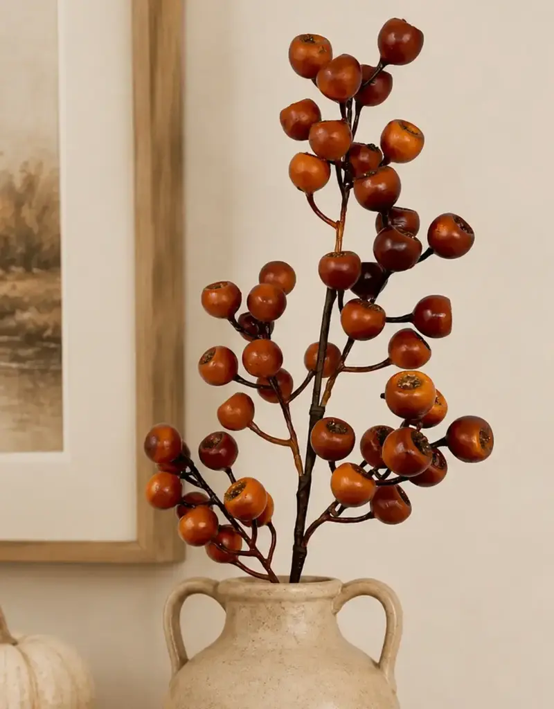 DAVID CHRISTOPHER'S COLLECTION Grand Pod Berry Spray 24" - Orange